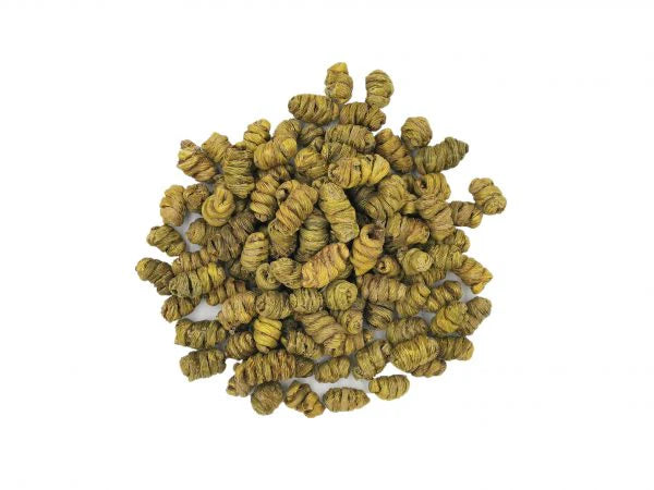 紫皮霍山石斛 (瓶裝) Dendrobium Huoshan 4 oz #86114-1