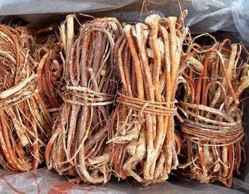 五指毛桃 (南芪) (五爪龍小圓片) 1 磅 CHINESE HERBS - Radix Ipomoeae Cairicae (Dried Hairy Fig Slides) #86450P