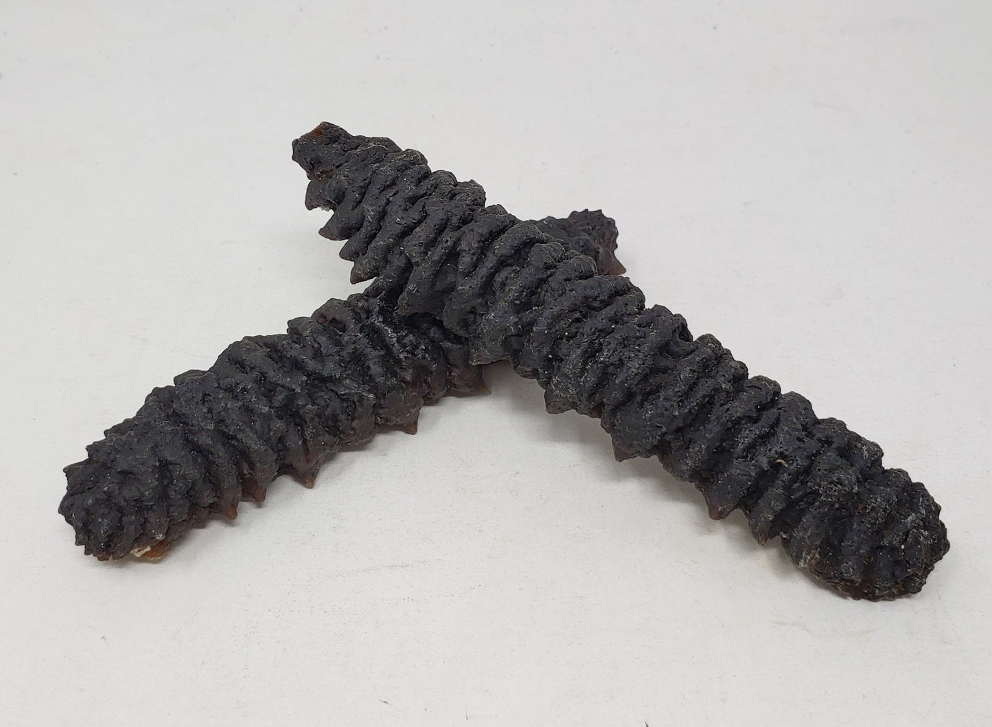 南美珍珠刺參(大) Dried Sea Cucumber (L) 8oz #1083b