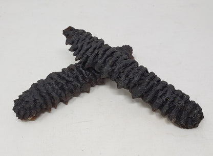 南美珍珠刺參(大) Dried Sea Cucumber (L) 8oz #1083b