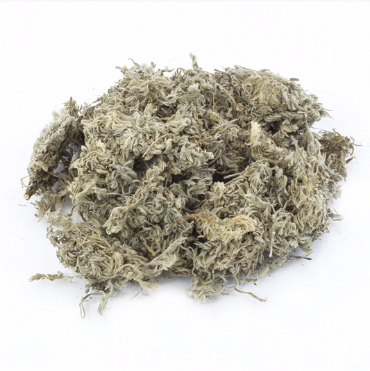綿茵陳 1 磅 Artemisiae Scopariae Herba 1 lb #86216LB