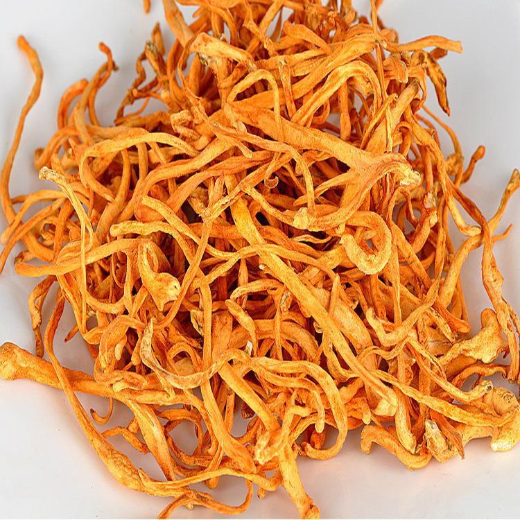 金虫草 - 特大蟲草花 1 磅 Cordyceps Flower 16 oz #81045A
